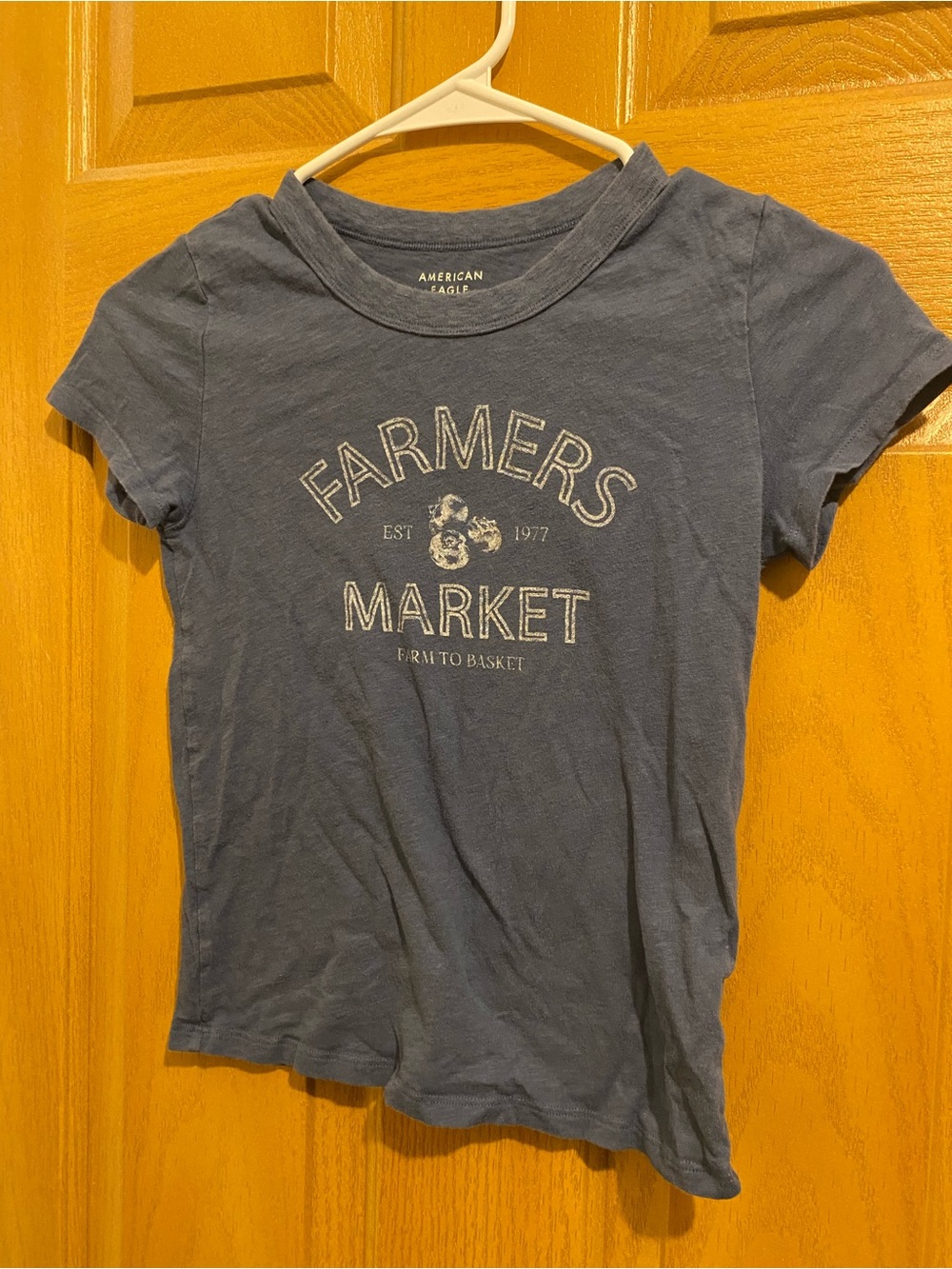 American Eagle Outfitters Kids' Farmers Market Graphic Tee - Slate Blue